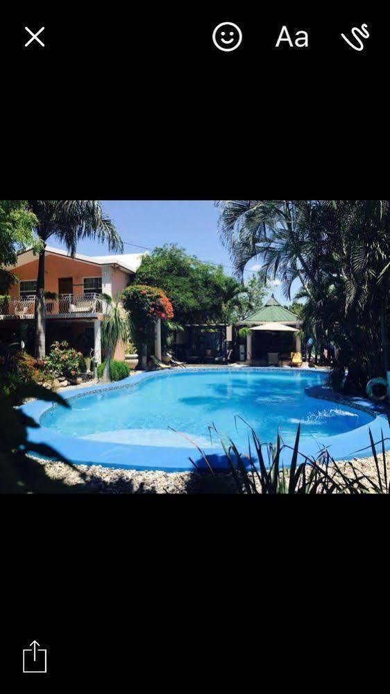 Palm Inn Hotel Port-au-Prince Buitenkant foto